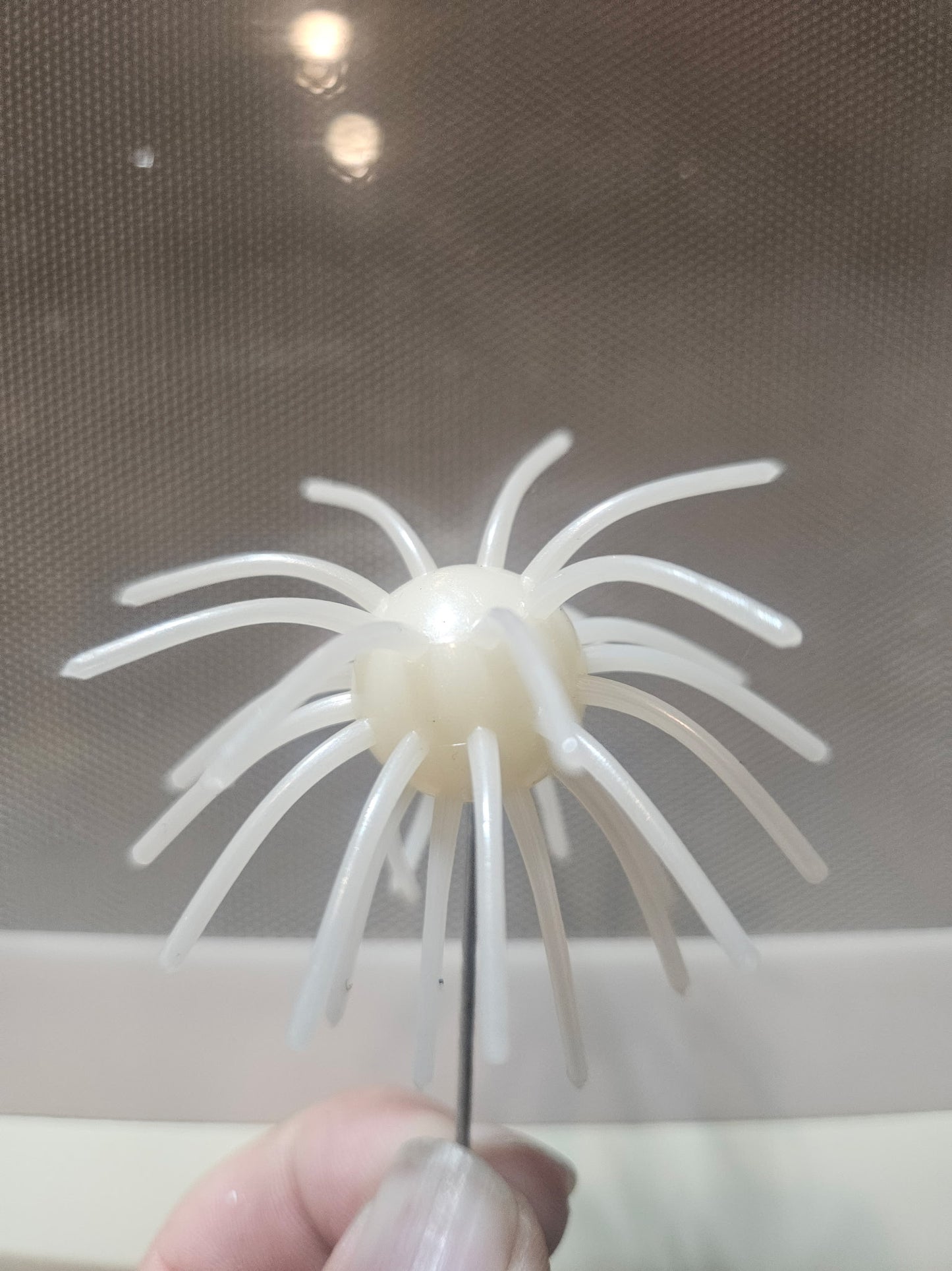 Sakana Urchins