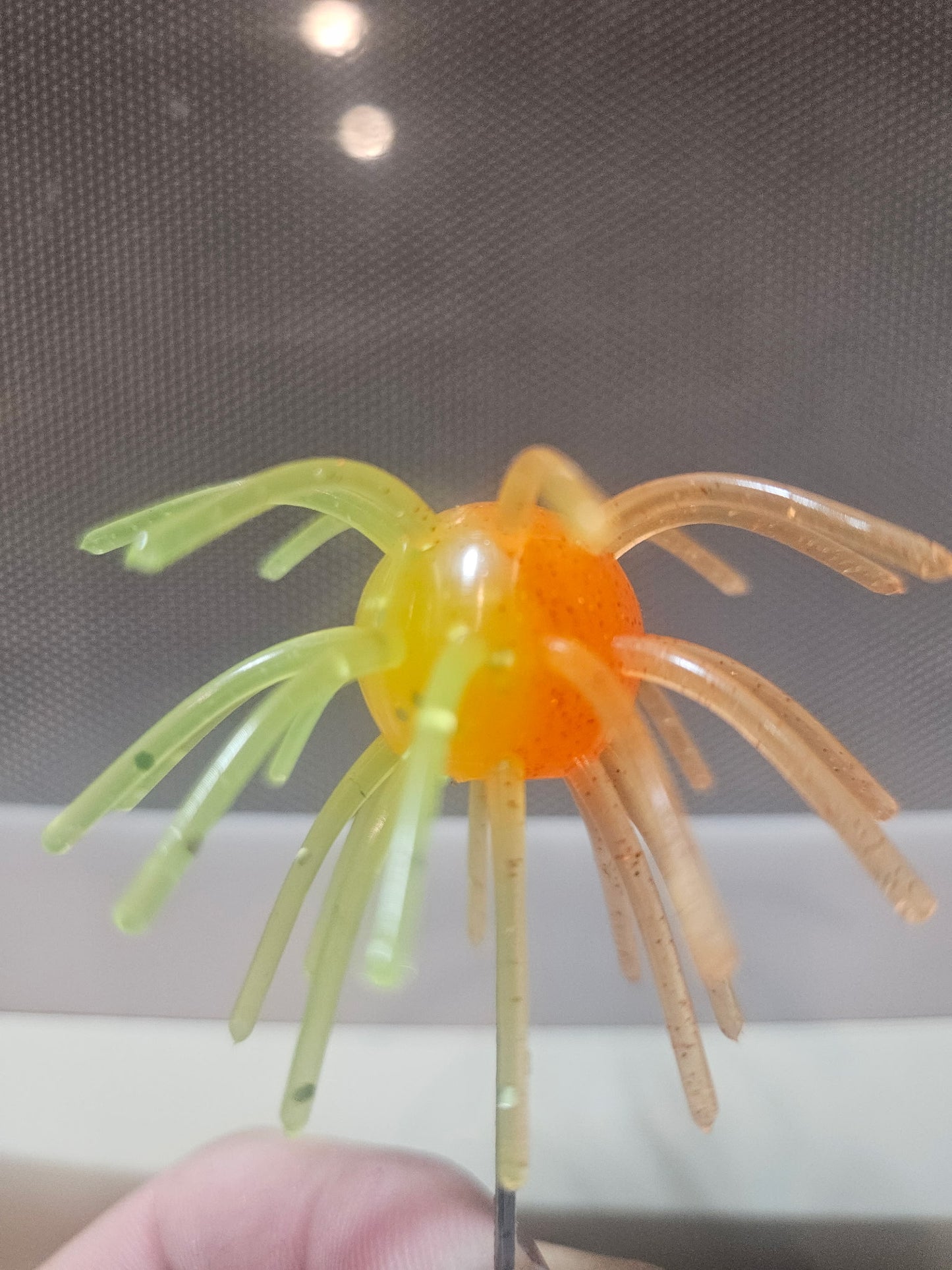 Sakana Urchins