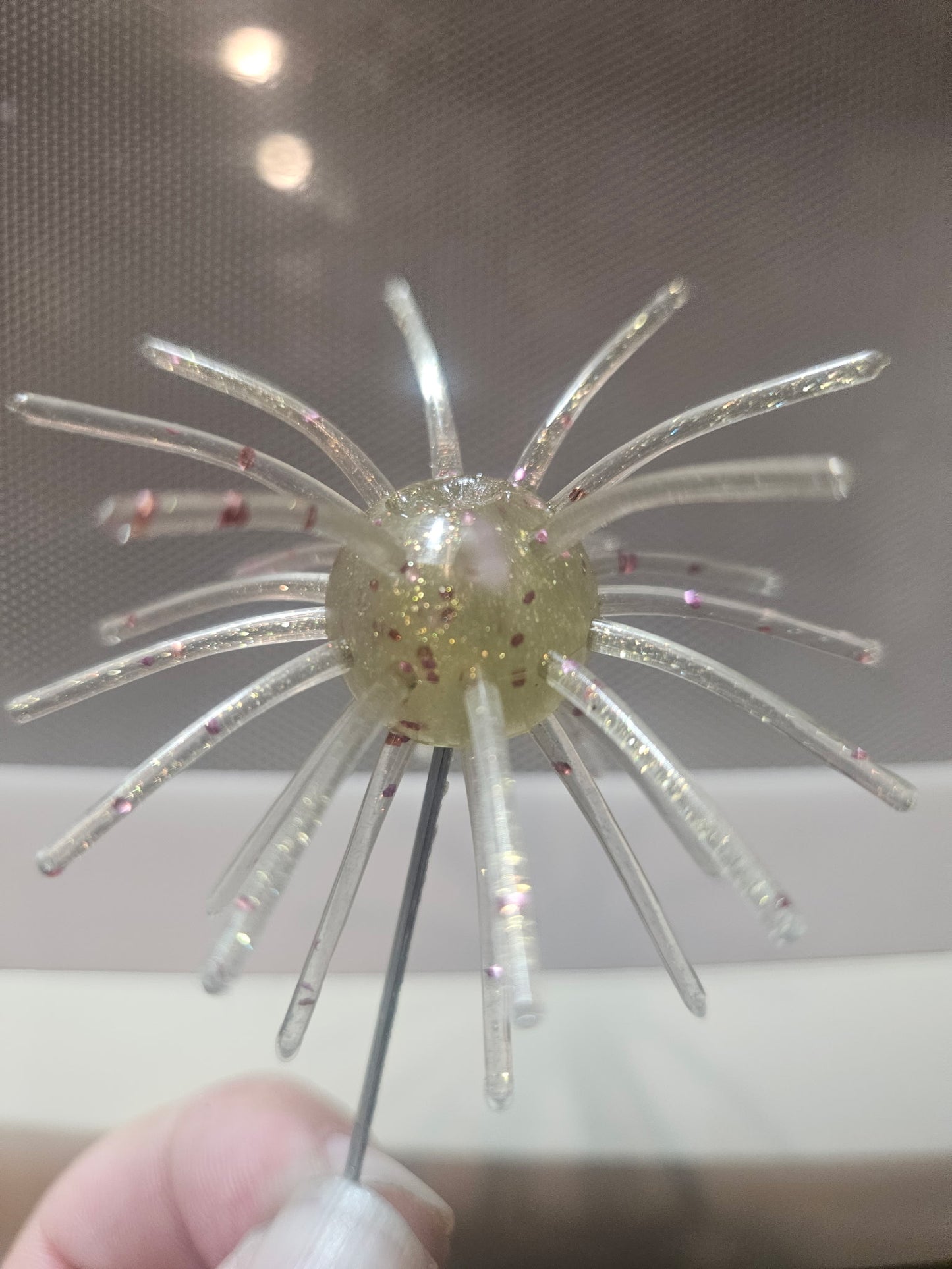 Sakana Urchins