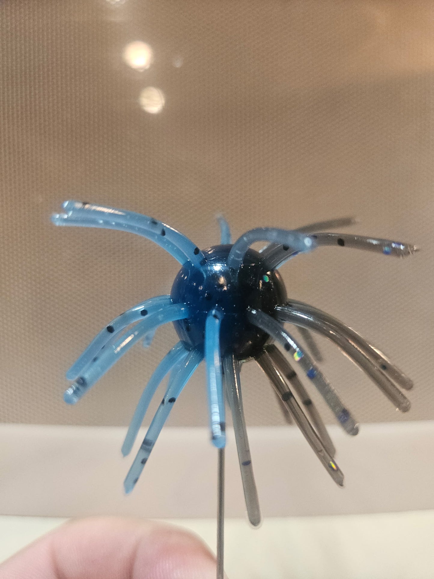 Sakana Urchins