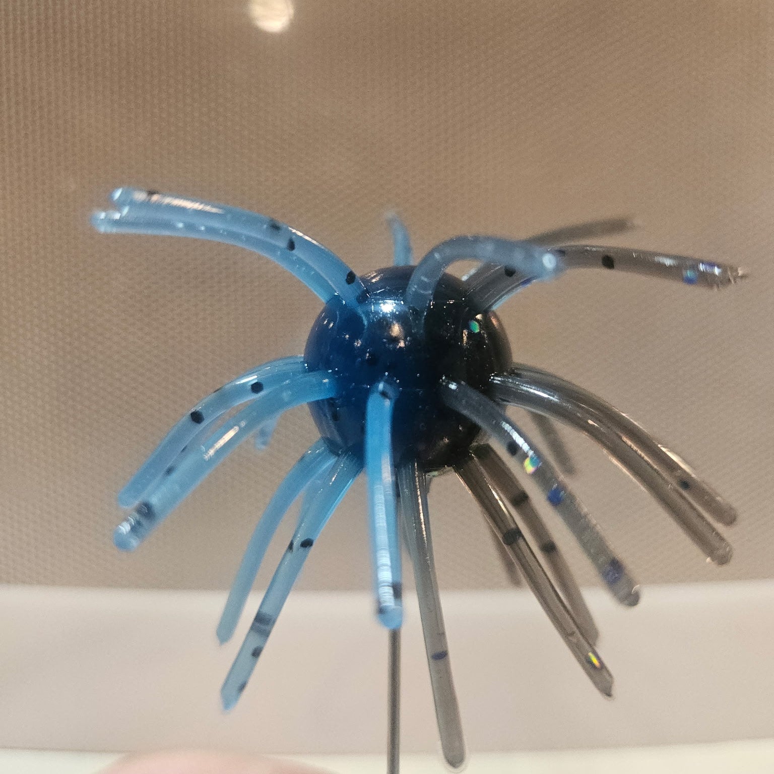 Black & Blue Urchin