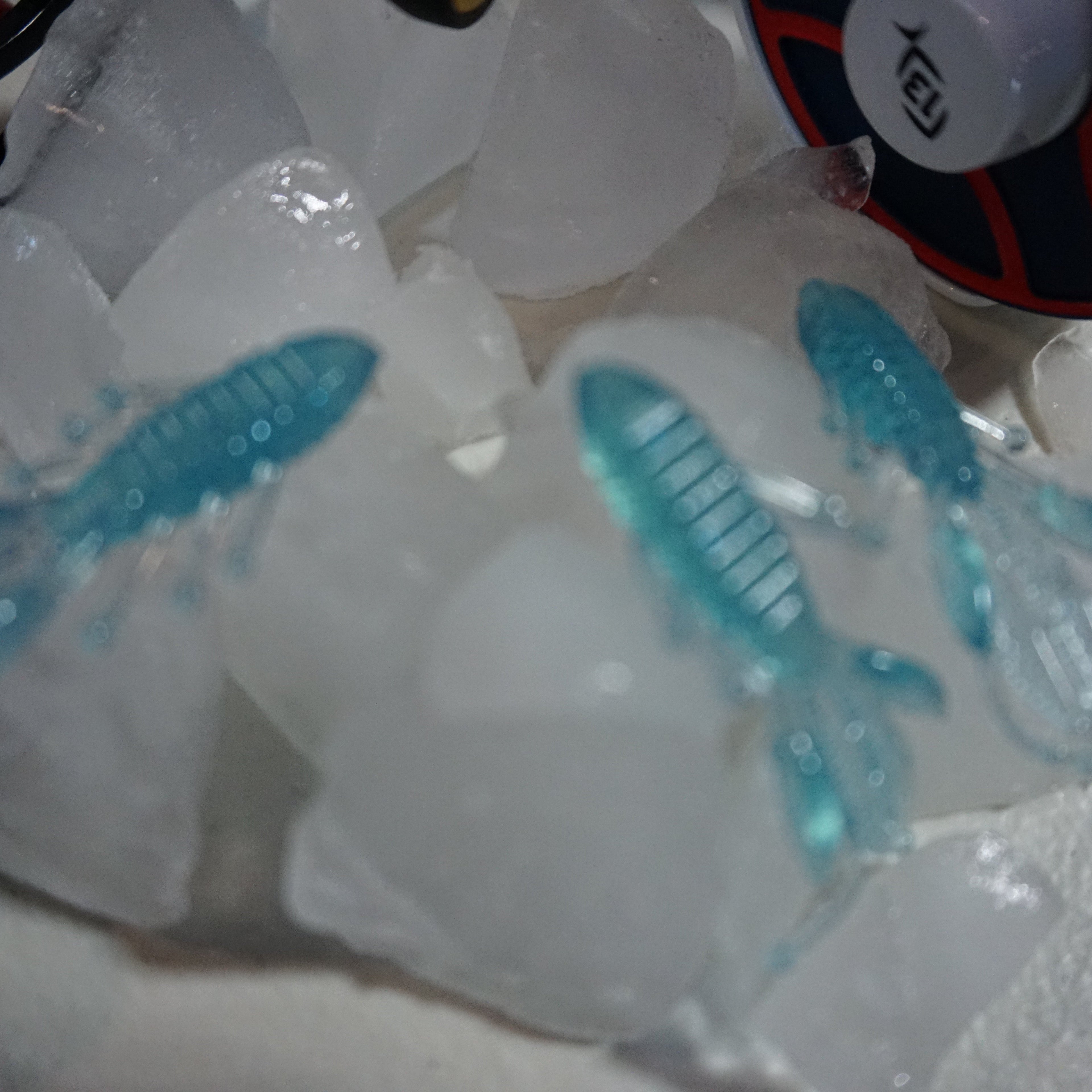 Blue Eveo Bugs