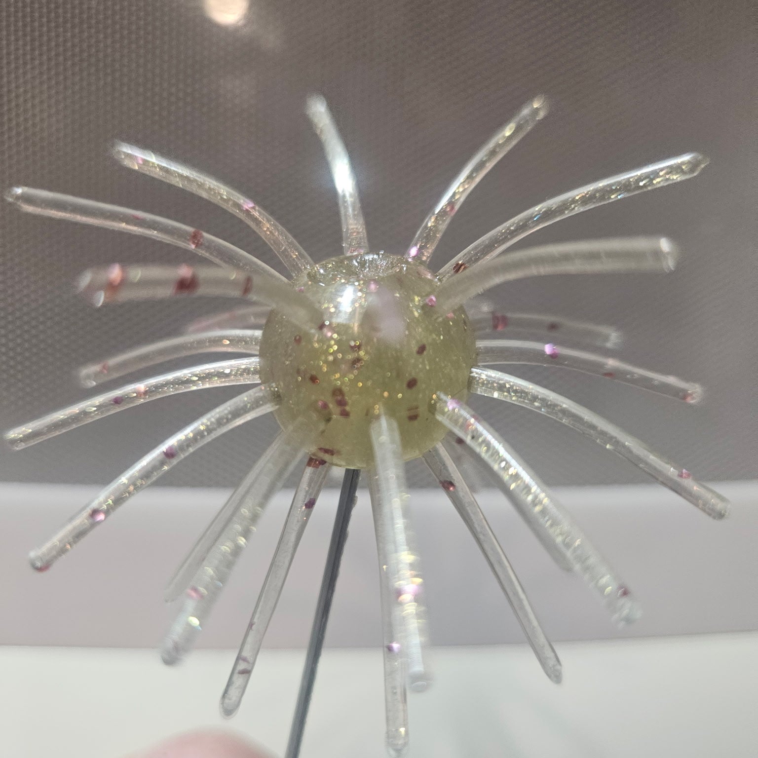 Color Shift Gold Urchin