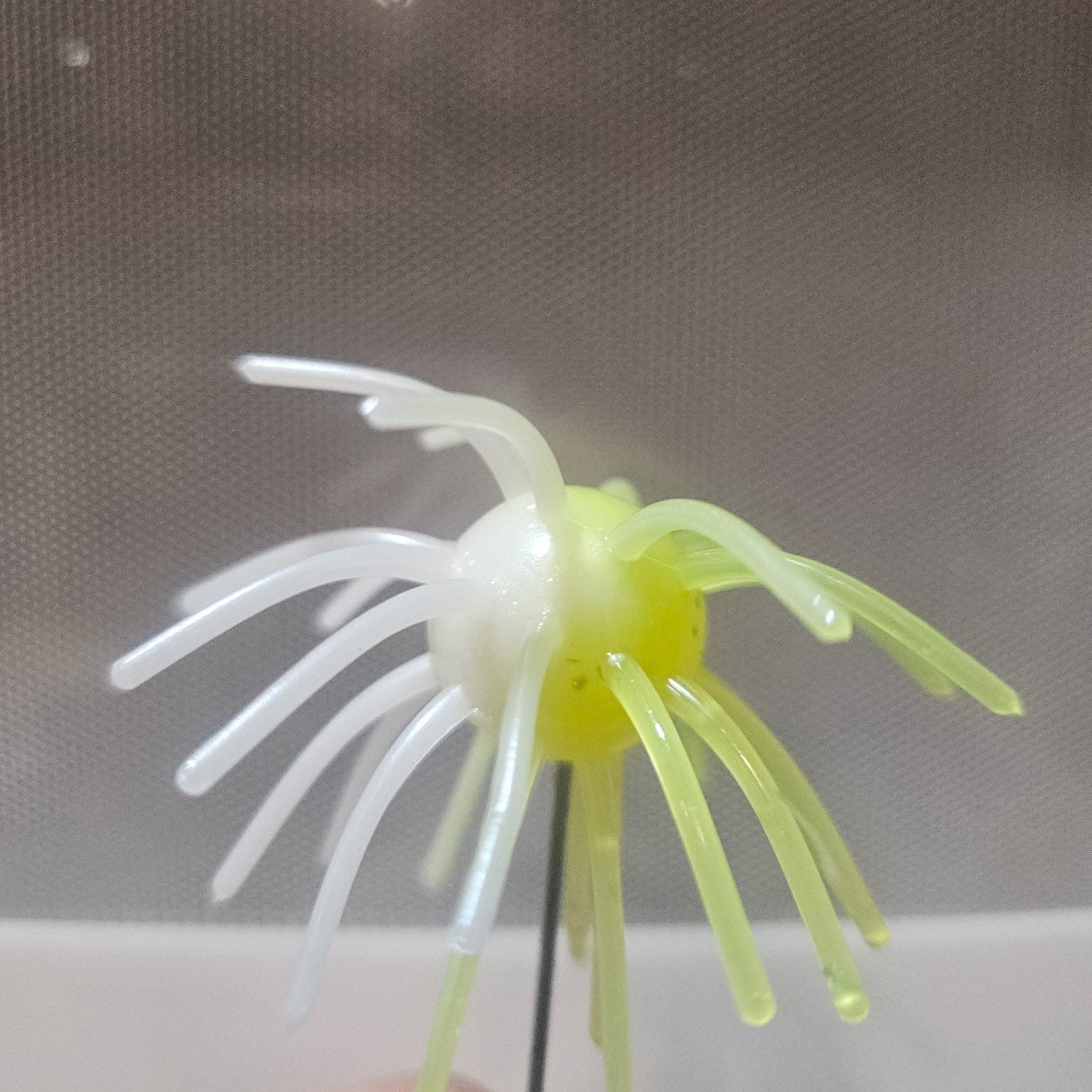 Pearl & Chartreuse Urchin