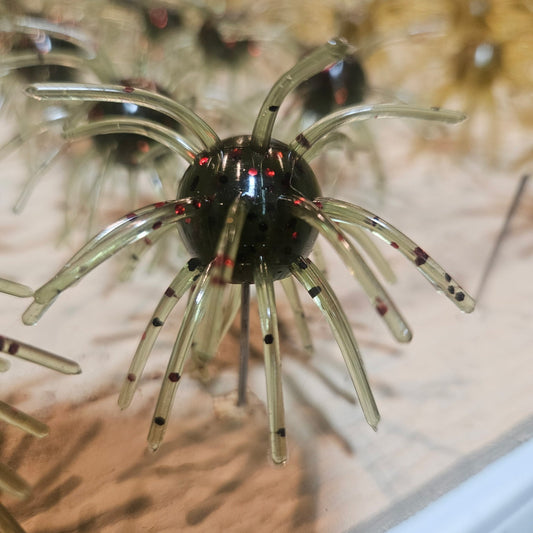 Watermelon Red Urchin