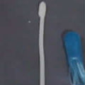 Sakana Wiggly Tail